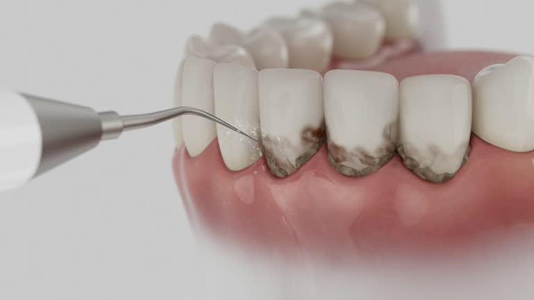 Reliable Dental contractor in Gadsden County County, FL by Dentist Open Now
